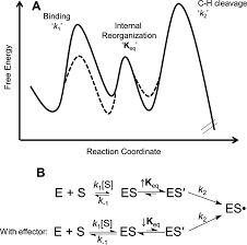 Hridoy babu facebook kes viral bangladesh. Hydrogen Deuterium Exchange Reveals Long Range Dynamical Allostery In Soybean Lipoxygenase Journal Of Biological Chemistry