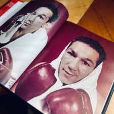 Italian Stallions Hardcover Book