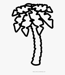 Coloring is a fun way to develop your creativity, your concentration and motor skills while forgetting daily stress. Palm Tree Coloring Page Hd Png Download Kindpng