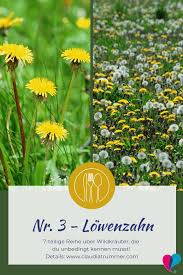 Pin Auf Wildkrauter Kuche