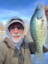 Hi! What was the coldest temparature your local sailfin mollies (Poecilia  latipinna) survived and for how long? I know they are very cold hardy.