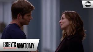 Les épisodes série en streaming sont disponible avant même d'être diffuse sur votre tv. Linc And Amelia S Secret Escape Grey S Anatomy Season 15 Episode 14 Youtube