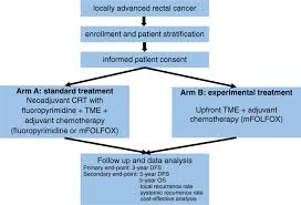 Colon cancer is effected on the large intestine which is the final part of the digestive tract. Upfront Radical Surgery With Total Mesorectal Excision Followed By Adjuvant Folfox Chemotherapy For Locally Advanced Rectal Cancer Tme Folfox An Open Label Multicenter Phase Ii Randomized Controlled Trial Trials Full Text