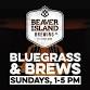 Bluegrass & Brews event in St Cloud, MN