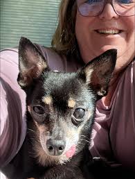 Importance of internet package for pet owners