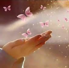 Betti Zalai On Twitter Butterfly Wallpaper Beautiful Butterflies Beautiful Wallpapers