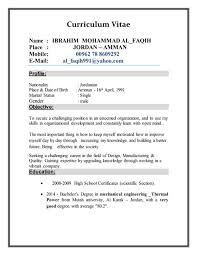 Abdullah Ashour CV