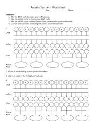 Protein Synthesis Worksheet Answer Key Biology Worksheet Transcription And Translation Biology Lessons
