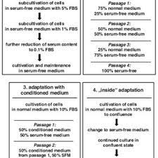 Check spelling or type a new query. Pdf Optimization Of Chemically Defined Cell Culture Media Replacing Fetal Bovine Serum In Mammalian In Vitro Methods