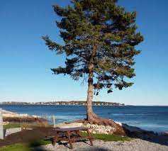 Maine Camping Boothbay Harbor Region Maine Campground Camping In Maine Boothbay Harbor Maine Maine Islands