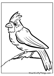 To print the coloring page: Unique Bird Coloring Pages