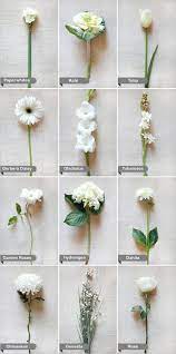 Maybe you would like to learn more about one of these? White Flowers Wedding Flower Guide Flower Guide White Wedding Flowers