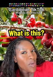 Padoo Trinidad Fruit