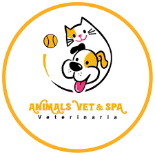 Free Animal - Veterinaria & Spa