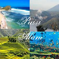 66 Puisi Alam Tentang Pegunungan Hutan Dan Lautan