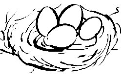 Vogelnest Naturstrolche