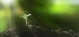 Resources include betterworld quotes, a betterworld calendar, 1000 betterworld heroes and free betterworld clubs materials. Striving For A Better World Context Ab