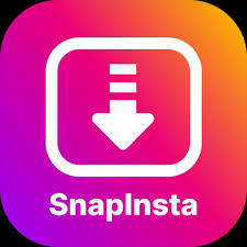 SnapInsta Instagram Downloader Tool