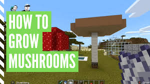 Villagers are not farming 1 12 survival mode minecraft java edition. How To Grow Mushrooms In Minecraft And Find Mushrooms