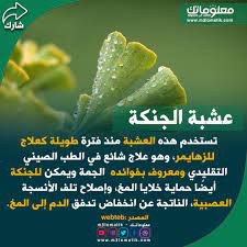 عشبة الجنكة herbs pill