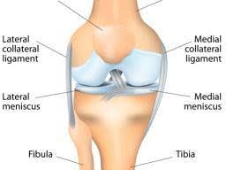 When damaged in the joints, it can lead to pain, inflammation, limited range of motion and stiffness that can eventually progress to osteoarthritis (oa)the most common type of arthritis. Cartilage Damage Symptoms Causes Diagnosis And Treatment