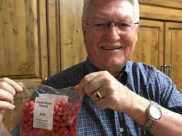 Mr. David L. Lemmon's Obituary