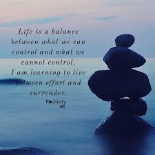 See more love quotes on mindbootstrap. Life Is A Balance Between What We Can Control And What We Cannot Control I Am Learning To Live Between Eff Life Balance Quotes Positivity Notes Balance Quotes