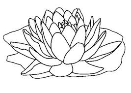 Disegno mazzo di fiori colorato da utente non registrato il 03 di. Disegno Di Fiore Di Loto Da Stampare Gratis E Colorare Per Bambini