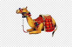 The wild bactrian camel is classified as critically endangered. Dromedary Llama Ú©ÙˆÙ‡Ø§Ù† Domestic Animal Camel Caravan Child Cartoon Animal Png Pngwing