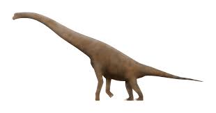 Anchisaurus is a genus of basal sauropodomorph dinosaur.1 it lived during the early jurassic period, and its fossils for faster navigation, this iframe is preloading the wikiwand page for anchisaurus. Cedarosaurus Wikipedia