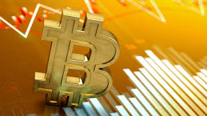 The daily traded volume of bitcoin continued to decline. X B C D E Why Bitcoin Cardano Dogecoin Ethereum And Xrp Too Popped Today The Motley Fool