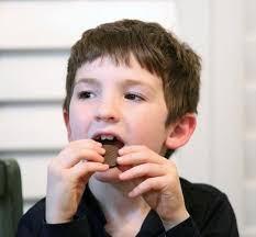 Hanukkah is light in dark times: Holiday honors perseverance, survival,  important values as pandemic changes celebrations in Greenville, locals  said.