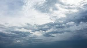 Primii și cei mai harnici participanți la activitate au fost elevii școlii din localitate. Prognoza Meteo Vreme MohoratÄƒ Vorbeste Lumea Protv