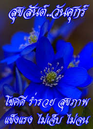 ป กพ นโดย surape pakpinyokul ใน 02 ภาพสวย ข อความตลก ว นศ กร สว สด