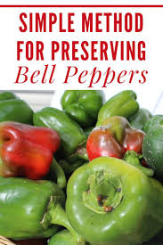 More news for how to store fresh peppers from the garden » Preserving Bell Peppers 3 Easy Steps Our Stoney Acres Stuffed Bell Peppers Stuffed Peppers Freezing Bell Peppers