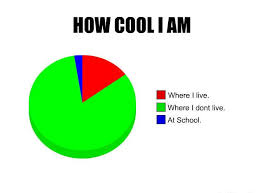 How Cool I Am Pie Chart Memes Percentage Calculator