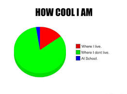 how cool i am pie chart memes percentage calculator