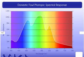 The visible light spectrum is often depicted as a scale of colors with different wavelengths. Visible Light Spectrum Of Human And Chicken Broiler Light Shenzhen Hontech Wins Electronics Co Ltd