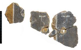 Aurora belova onlyfans leaks All my links, social media,