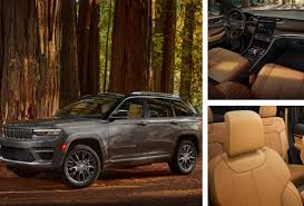 Image result for Brown 2021 Fleet