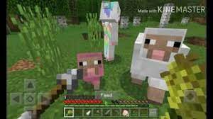 Natural Baby Pink Sheep Youtube
