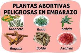 Pin En Salud