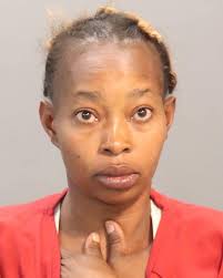 ESTEVEZ, CIERRA BRISHAYNE Charges: CHILD ABUSE/NEGL/ENDANGERMENT  (NON-VIOLENT) CHILD ABUSE/NEGL/ENDANGERMENT (NON-VIOLENT) This information  and more is available https://apps.myocv.com/share/a95737804