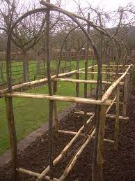 epingle par countygurl sur ogorod jardin foret jardin de cure structure de jardin
