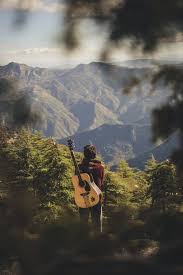 1000 Great Guitarist Photos Pexels Free Stock Photos Support us by sharing the content, upvoting wallpapers on the page or sending your own. 1000 great guitarist photos pexels