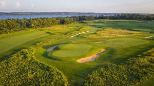 Image result for Lawsonia