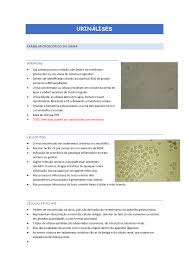 EXAME MICROSCÓPICO DE URINA | Resumos Biomedicina | Docsity
