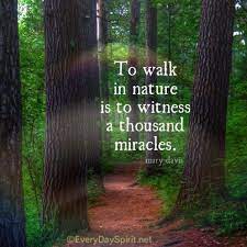Where were the normal people who liked conversations about movies take short walks in the park down a happy trail. Every Day Spirit Nature Quotes Walking In Nature Inspirational Quotes