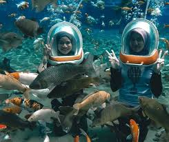 Tempat ini seringkali menjadi rujukan bagi pelancong yang ingin merasakan berenang di. Umbul Ponggok Klaten Wisata Keren Buat Selfie Dalam Air