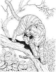 Free printable zentangle tiger coloring pages for adults and teens. Tiger Coloring Pages